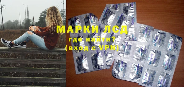 стаф Аркадак