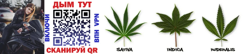 Канабис White Widow закладка kraken зеркало Усинск
